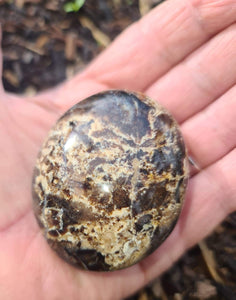Black Opal Palmstone